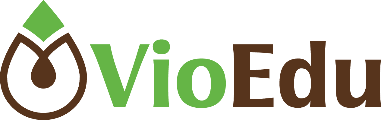 Hệ thống giáo dục trực tuyến VioEdu