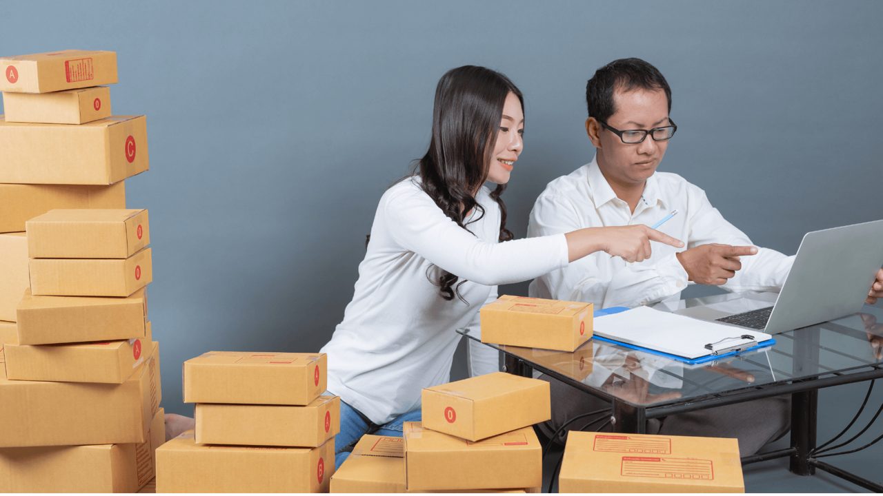 Wareva — Tổng quan